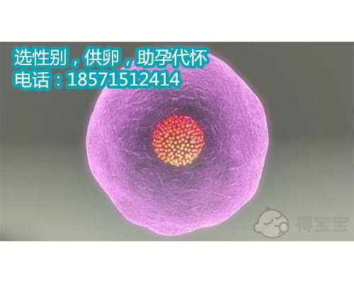 杭州供卵试管中心多少钱,怀孕后多久有明显胎动