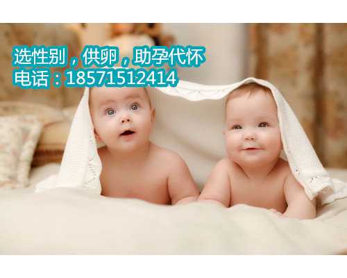 福州靠谱供卵试管中心,哈尔滨试管婴儿周昱言试管婴儿的福音