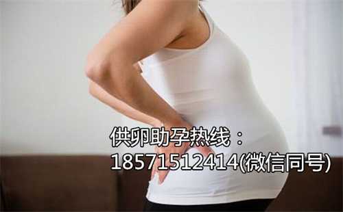 武汉有专业供卵试管医院吗,西藏试管婴儿多少钱